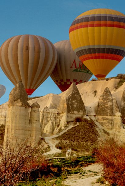 Cappadocia Balloon Tour Reservation