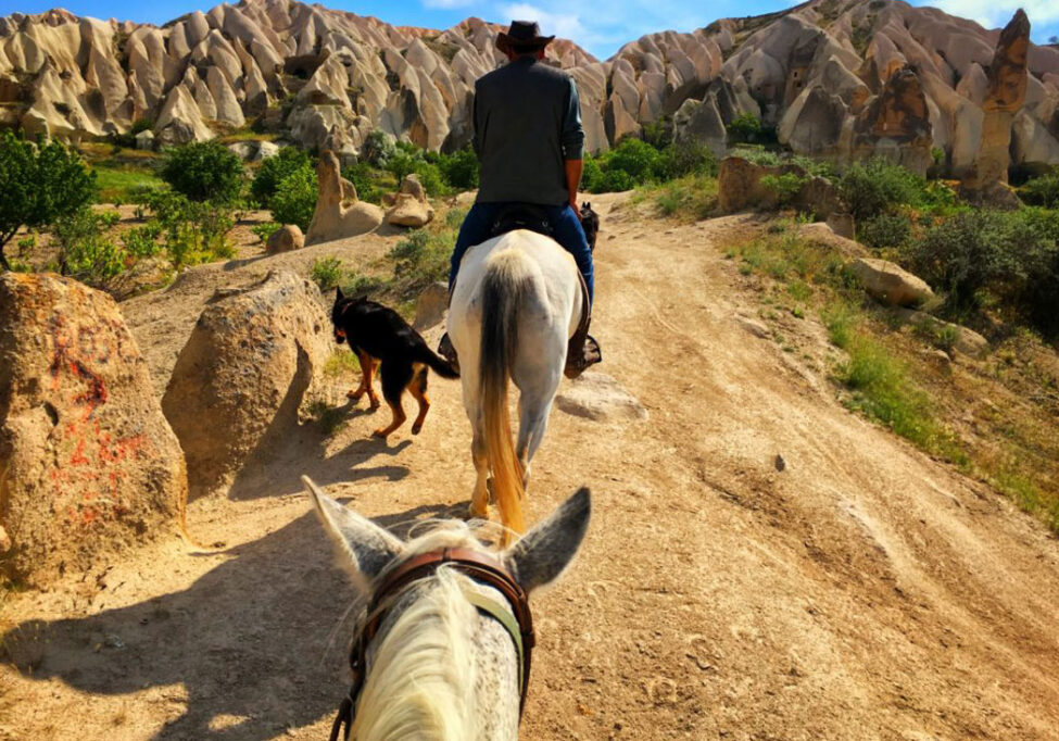Cappadocia Horse Riding Tours (10)